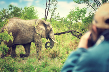 KRUGER NATIONAL PARK