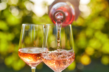 CAPE WINELANDS EXCURSION