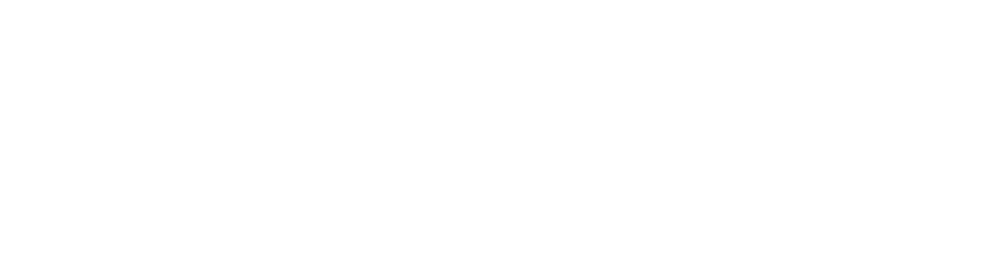 Orion